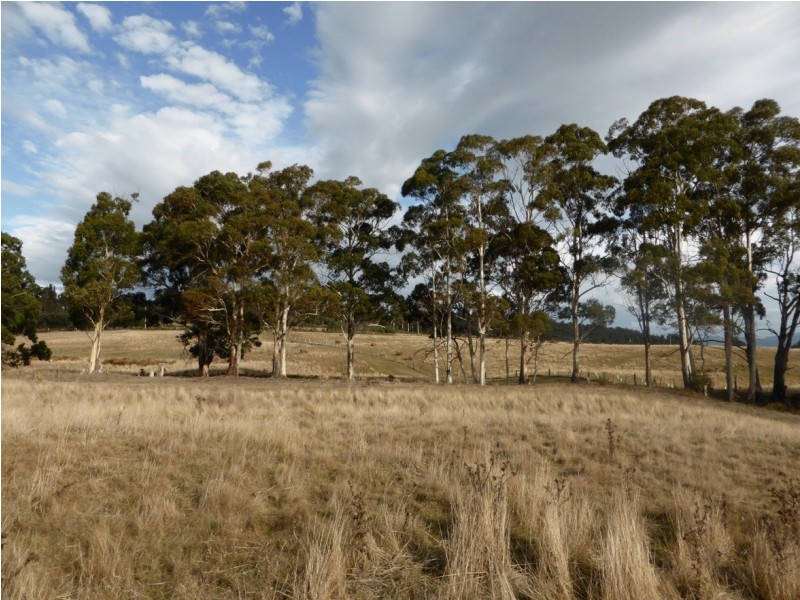 00 Hungry Flats road, Colebrook TAS 7027