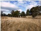 00 Hungry Flats road, Colebrook TAS 7027