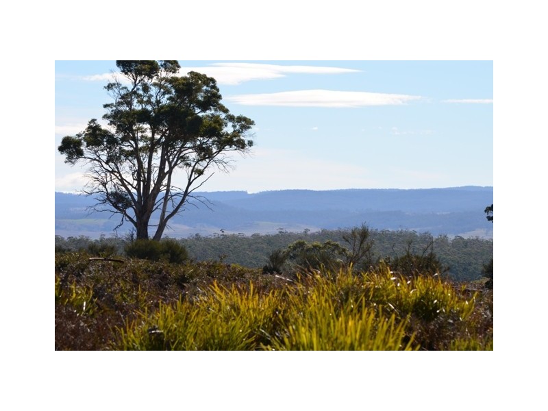 Parattah TAS 7120