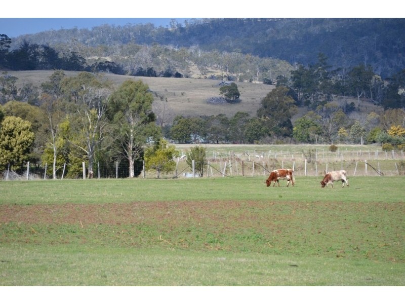 Little Swanport TAS 7190