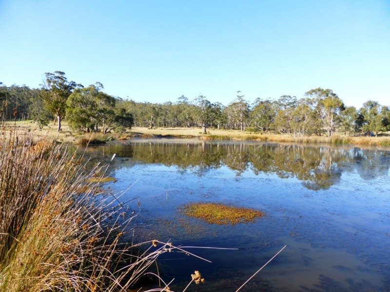 Bruny Island TAS 7150