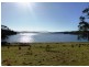Bruny Island TAS 7150
