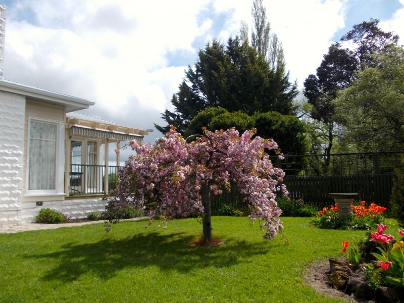 1 Arthur Street, Bothwell TAS 7030