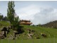 462 Plenty Valley Road, New Norfolk TAS 7140
