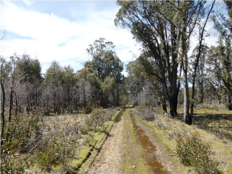 Bronte Park TAS 7140