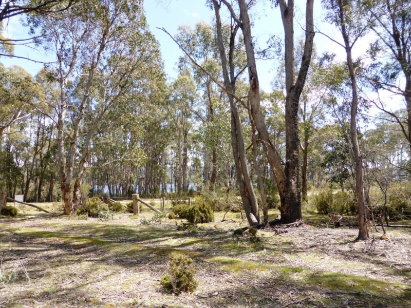 Bronte Park TAS 7140