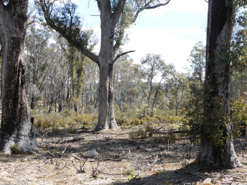 Bronte Park TAS 7140