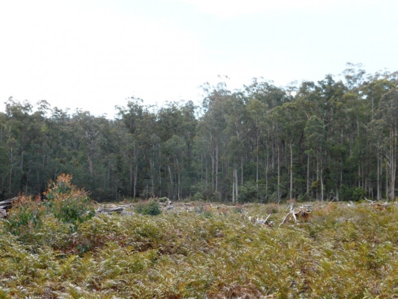 Bronte Park TAS 7140