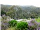 511 Plenty Valley Road, Glenfern TAS 7140