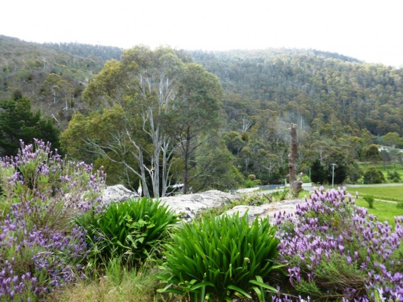 511 Plenty Valley Road, Glenfern TAS 7140