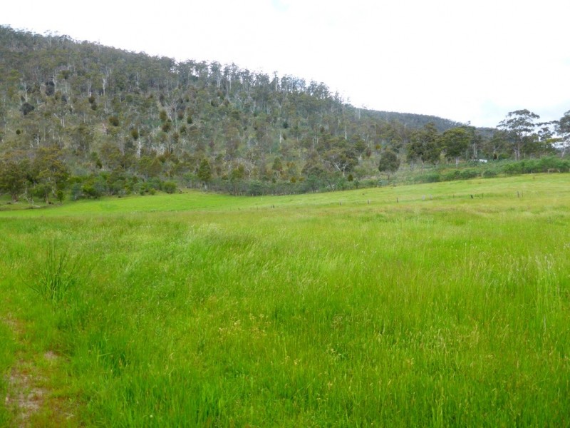 511 Plenty Valley Road, Glenfern TAS 7140