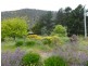 511 Plenty Valley Road, Glenfern TAS 7140