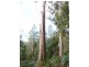 00 Abbotts Road, Maydena TAS 7140
