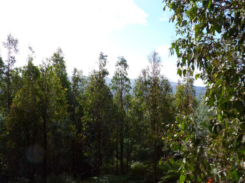 00 Abbotts Road, Maydena TAS 7140