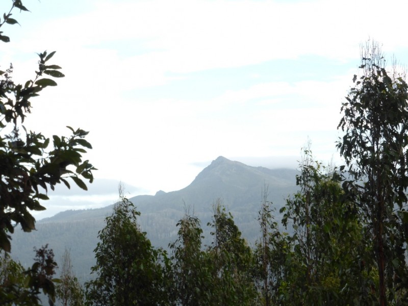00 Abbotts Road, Maydena TAS 7140