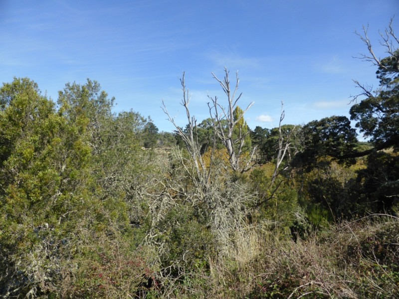 2204 Lyell Highway, Hayes TAS 7140