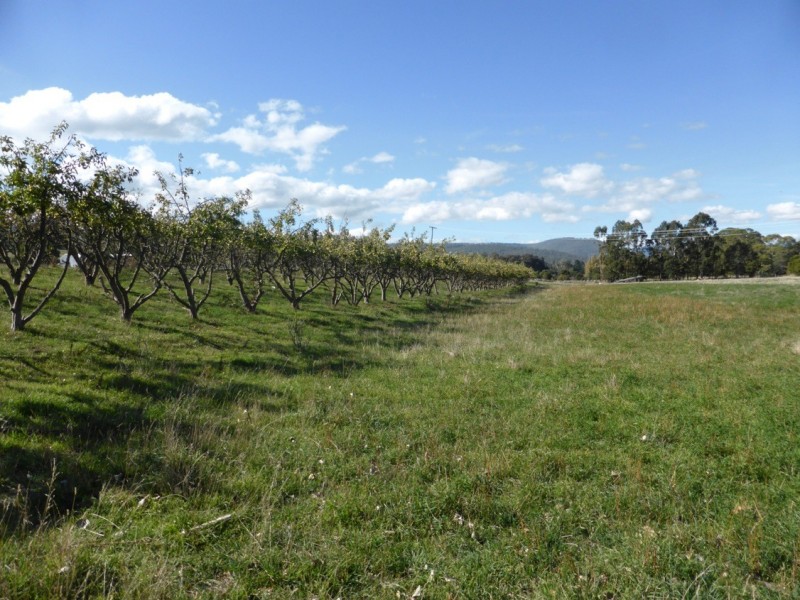 2204 Lyell Highway, Hayes TAS 7140