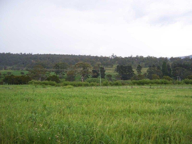 2204 Lyell Highway, Hayes TAS 7140