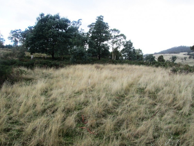 Lot 2/575 Green Valley Road, Bagdad TAS 7030