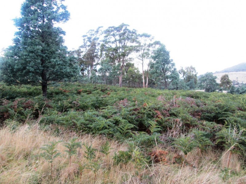 Lot 2/575 Green Valley Road, Bagdad TAS 7030