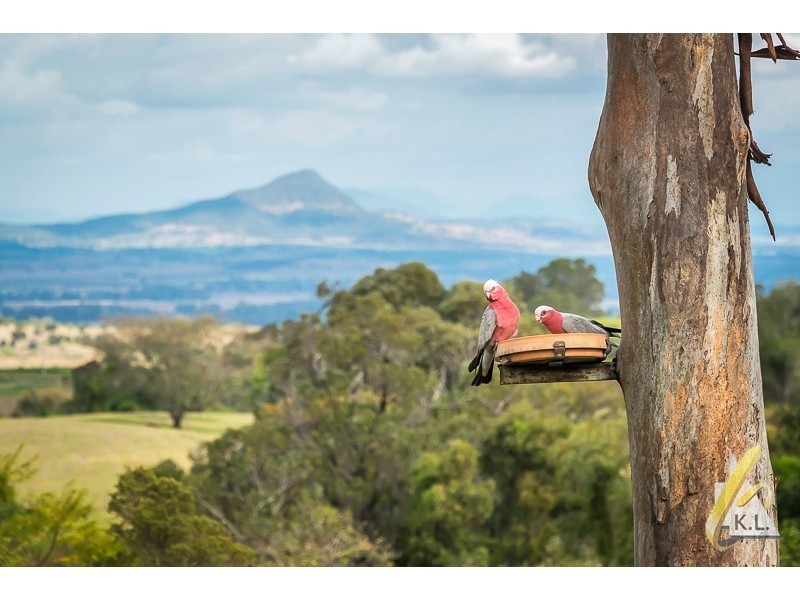 143 Tallegalla Two Tree Hill Rd, Tallegalla QLD 4340