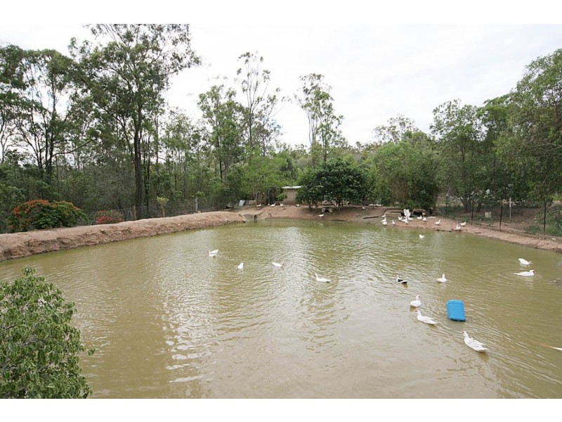 4 / 99 Junction Road, Karalee QLD 4306