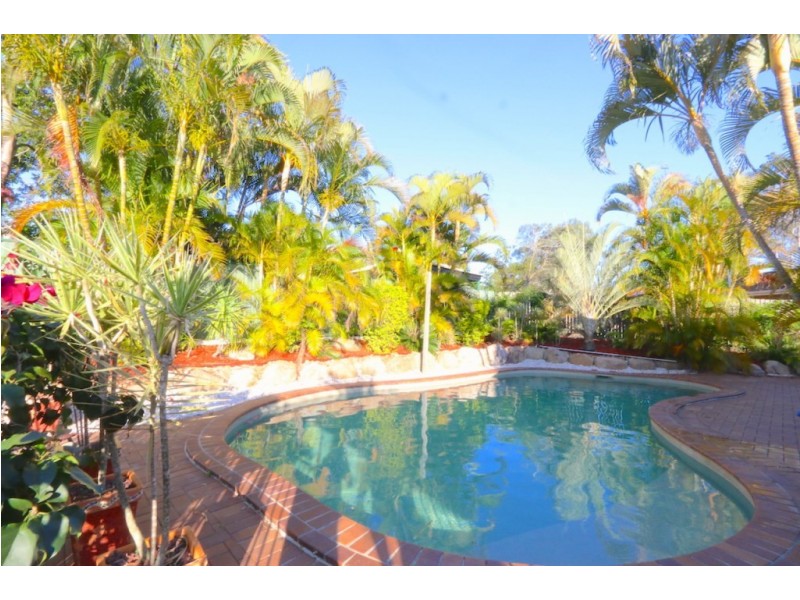 61 Montanus Drive, Bellbowrie QLD 4070