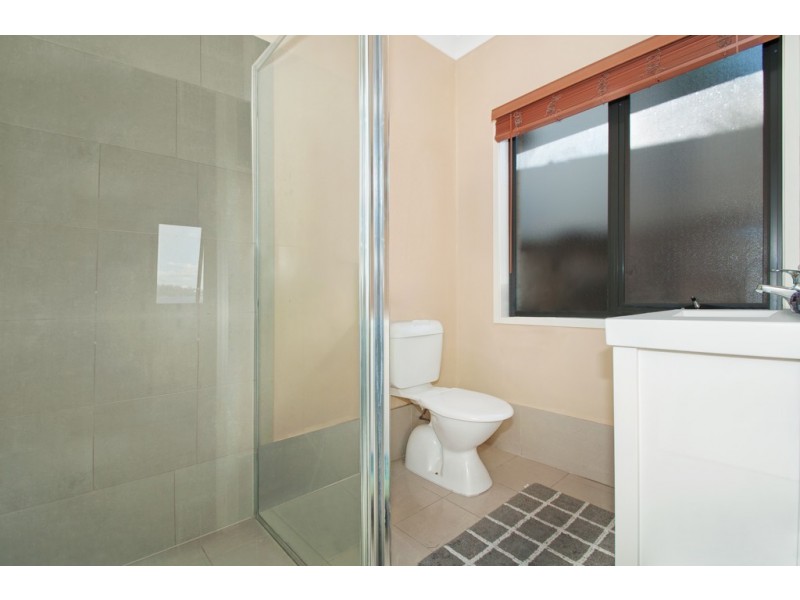 21 Higgins Street, Collingwood Park QLD 4301
