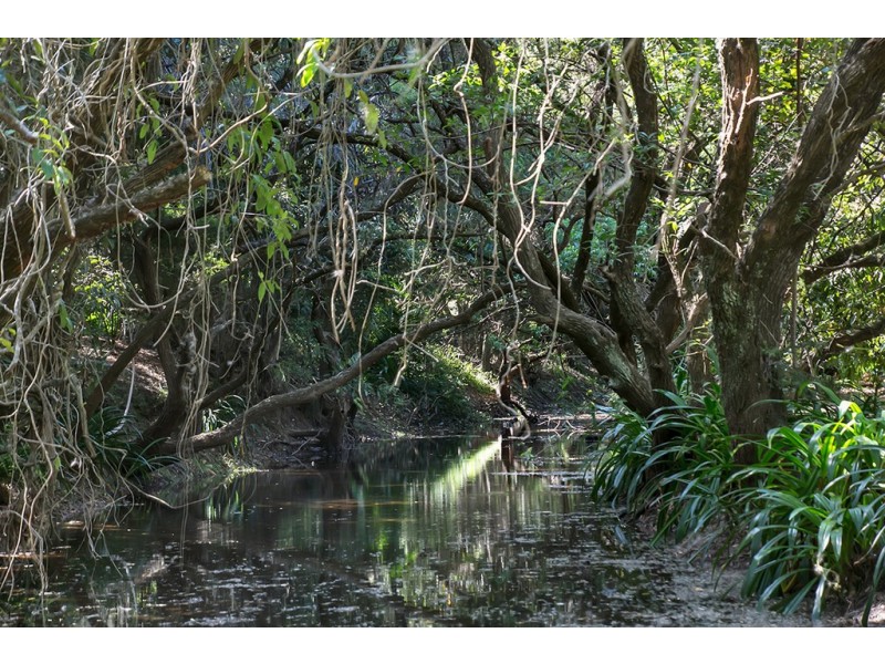 65 Lyndale Rd, Pullenvale QLD 4069