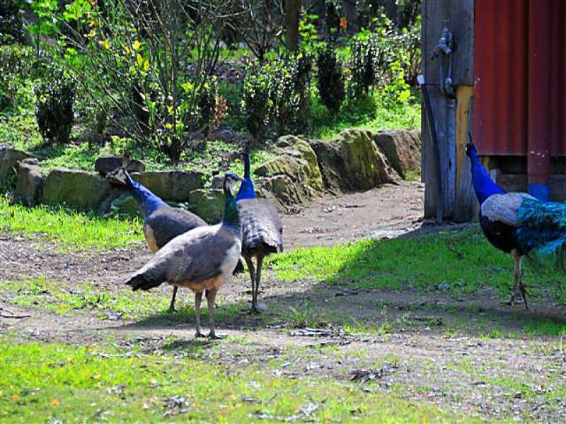 100 Waverley Road, Lake Manchester QLD 4306