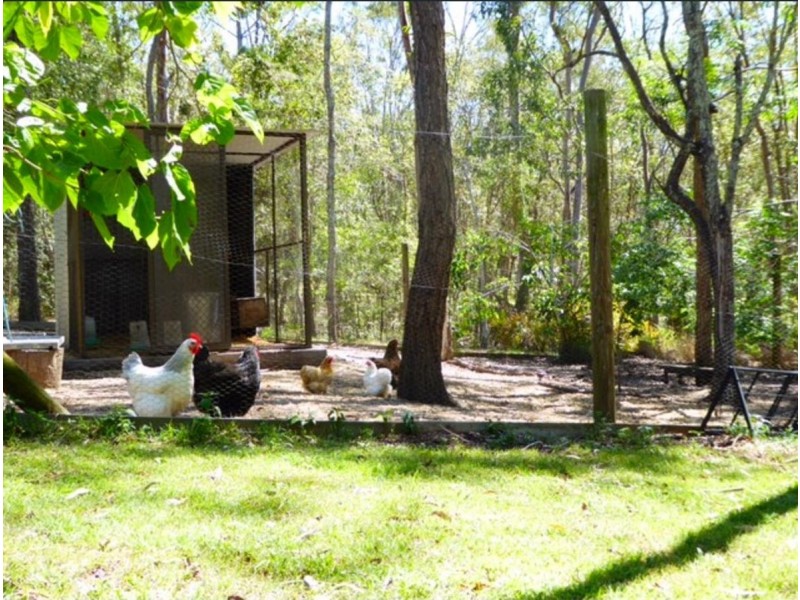 289 Pinjarra Hills Road, Pinjarra Hills QLD 4069