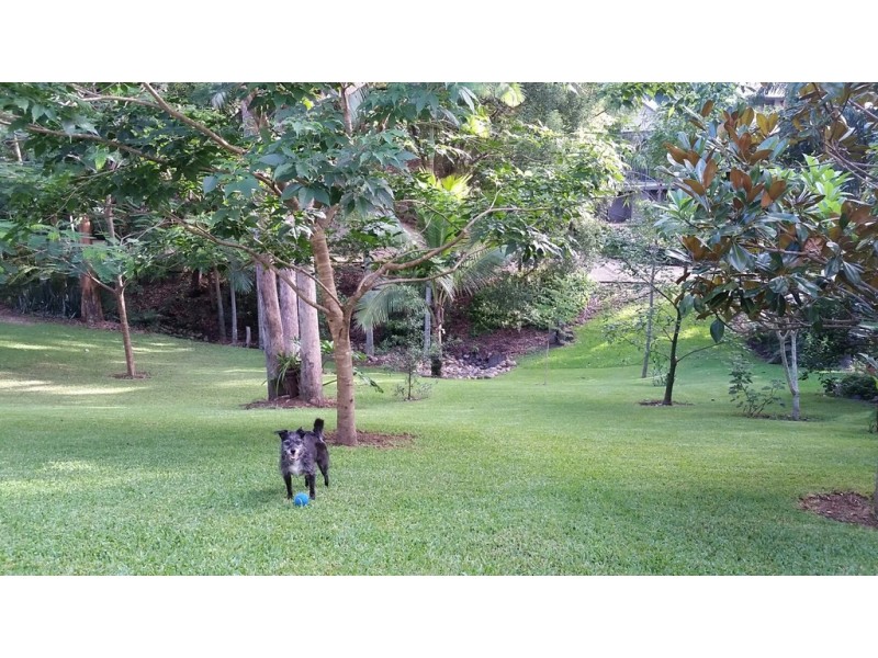 4/213 Taringa Pde, Taringa QLD 4068