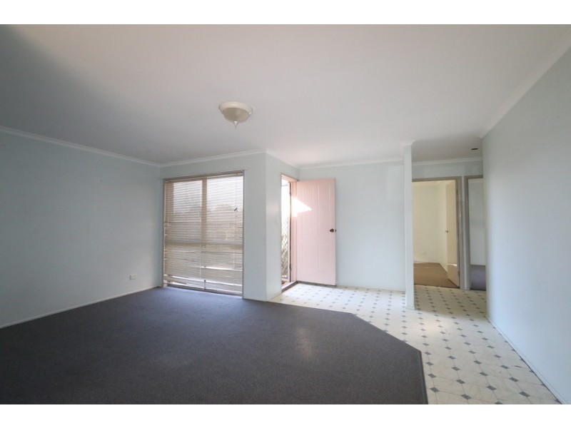 8a McGreavy Street, One Mile QLD 4305