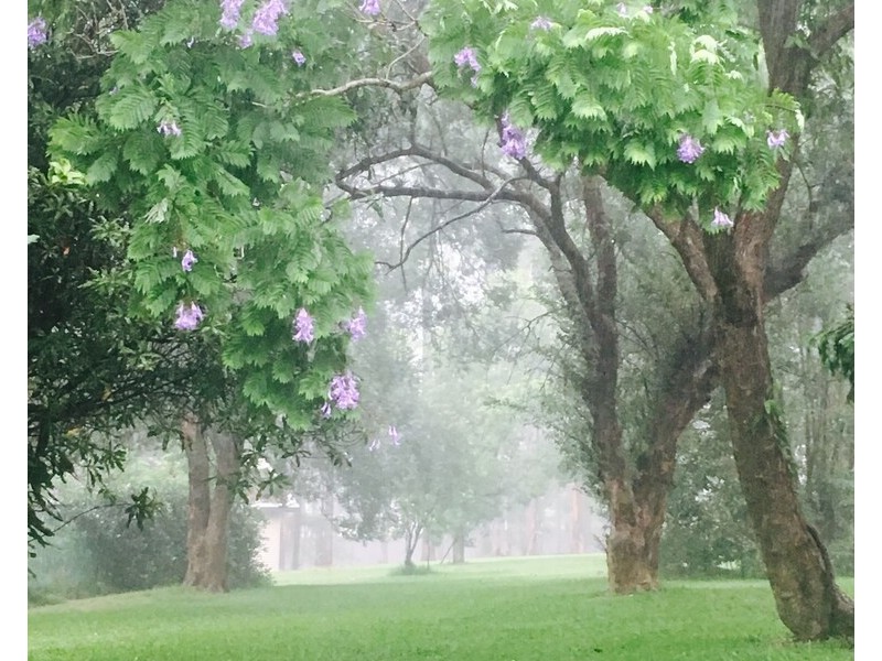 46 Kintyre Street, Brookfield QLD 4069