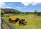 37 Nullamanna Road, Camp Mountain QLD 4520