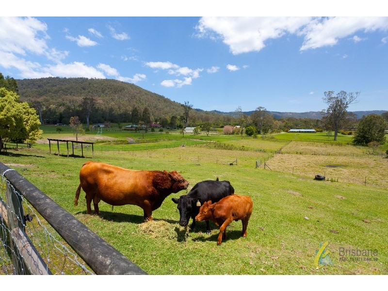 37 Nullamanna Road, Camp Mountain QLD 4520