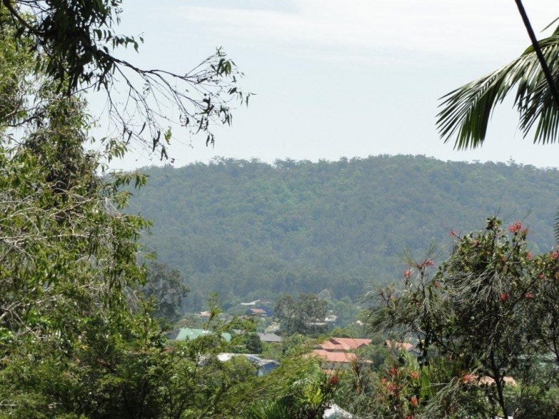 299 Bielby Road, Chapel Hill QLD 4069