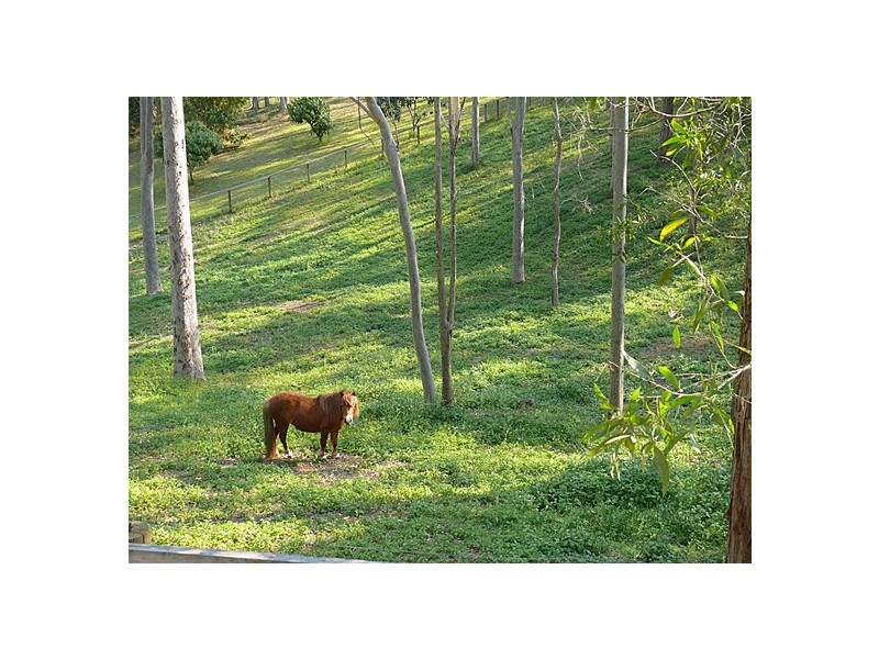 35 Indra Crescent, Karana Downs QLD 4306