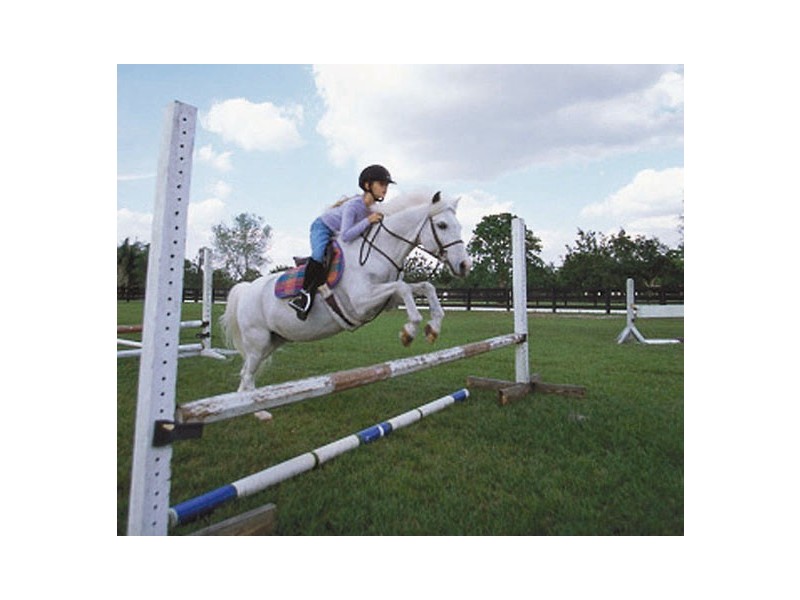 16 Emma Place, Fig Tree Pocket QLD 4069