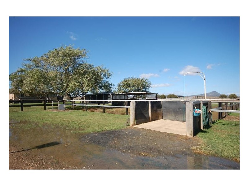 915 Rosewood Warrill View Road, Lower Mount Walker QLD 4340