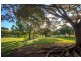805 Fig Tree Pocket Rd, Fig Tree Pocket QLD 4069