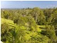12 Mill Road, Pullenvale QLD 4069