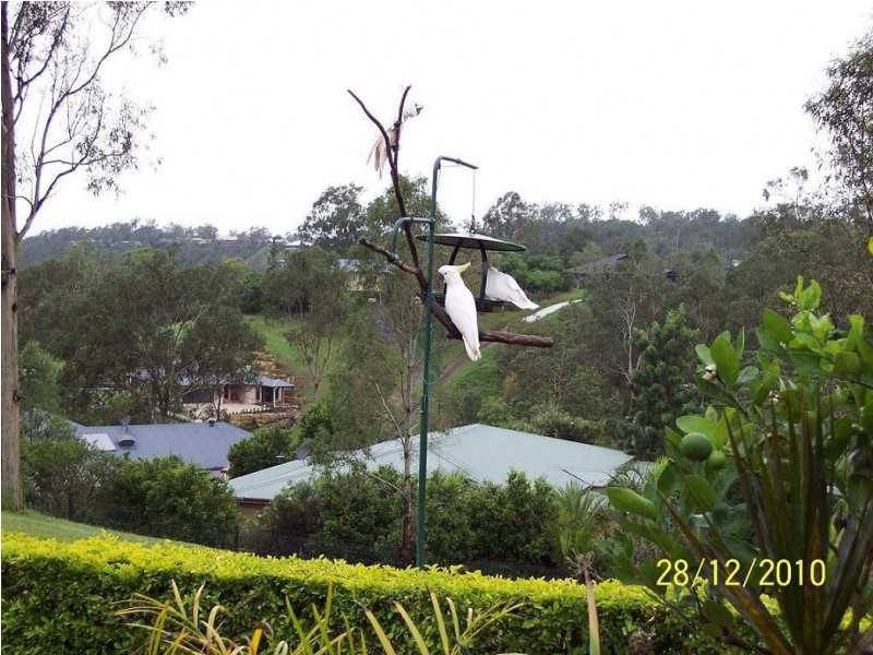 185 Allawah Rd, Chuwar QLD 4306