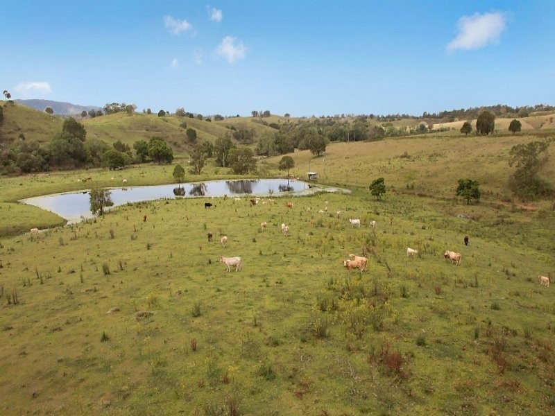 472 Laceys Creek Rd, Laceys Creek QLD 4521