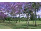 8 Fenchurch Street, Fig Tree Pocket QLD 4069