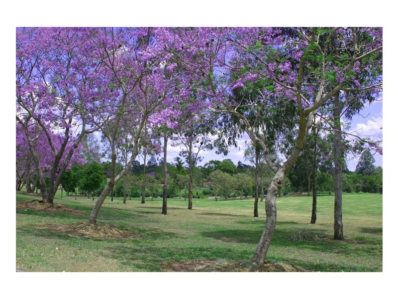 8 Fenchurch Street, Fig Tree Pocket QLD 4069