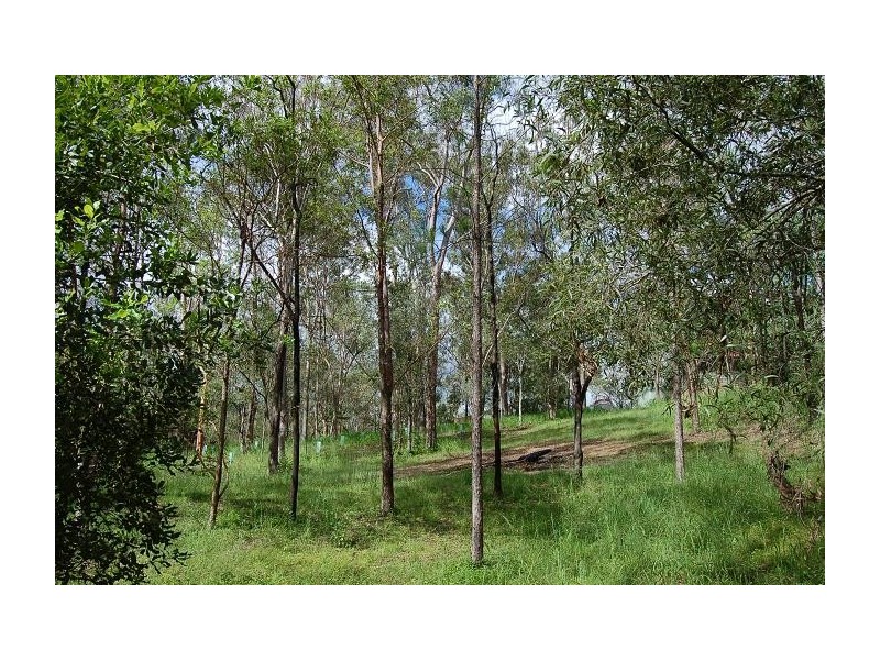 Lot 100 Tillapai Grove, Karana Downs QLD 4306