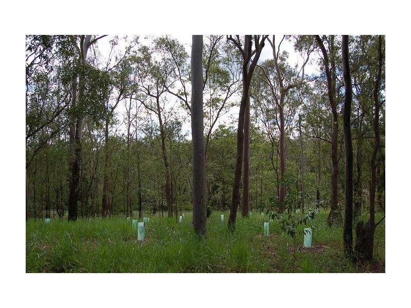 Lot 100 Tillapai Grove, Karana Downs QLD 4306