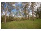 Lot 102 Tillapai Grove, Karana Downs QLD 4306