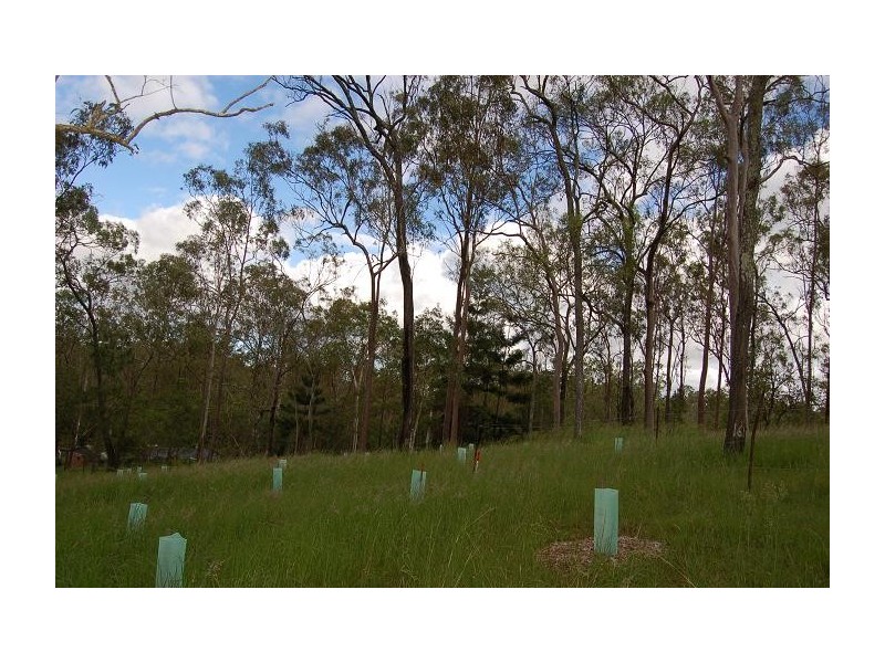 Lot 102 Tillapai Grove, Karana Downs QLD 4306